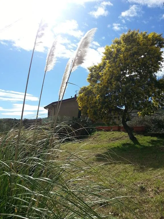 B&B Amore Di Maremma Grosseto Bed & Breakfast