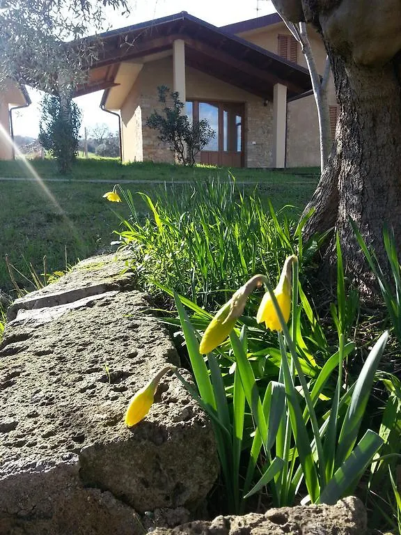 *** Bed & Breakfast B&B Amore Di Maremma Grosseto Italia