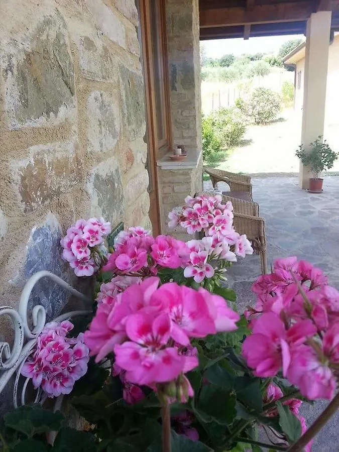 B&B Amore Di Maremma Grosseto 3*,