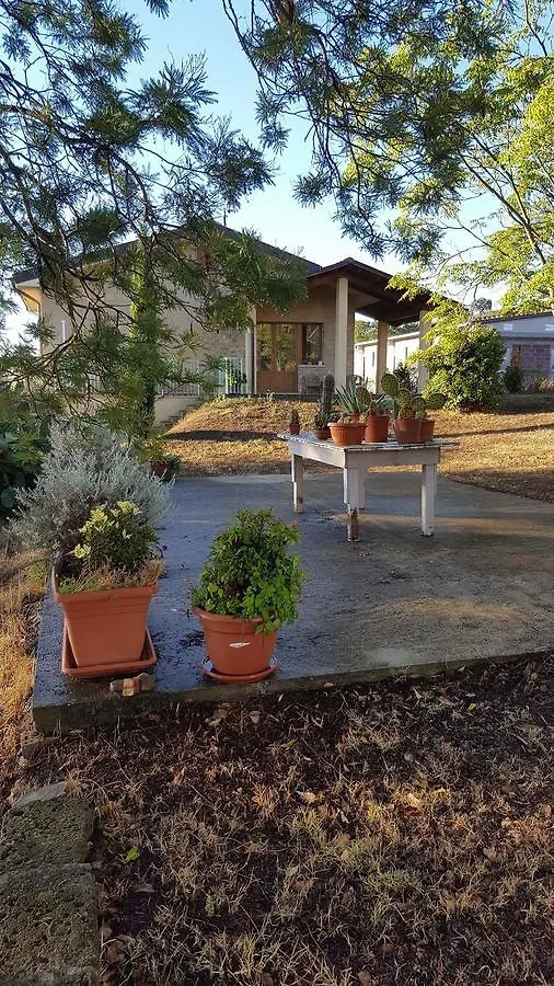 *** Bed & Breakfast B&B Amore Di Maremma Grosseto Italia