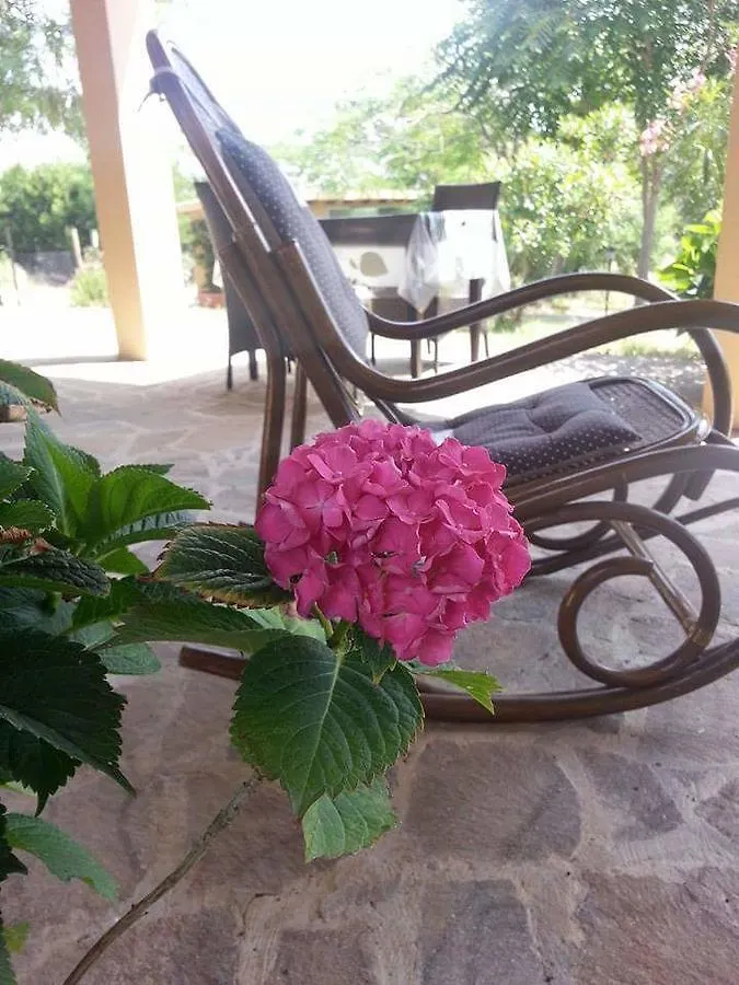 B&B Amore Di Maremma Grosseto Bed & Breakfast
